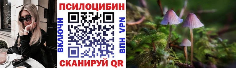 Галлюциногенные грибы MAGIC MUSHROOMS  МЕГА маркетплейс  Елец  наркошоп 